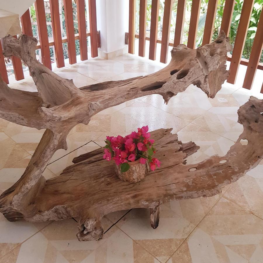 Hotel Restaurante Selva Negra Turbaco Екстериор снимка